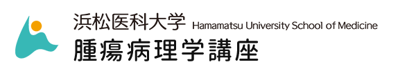 浜松医科大学 腫瘍病理学講座